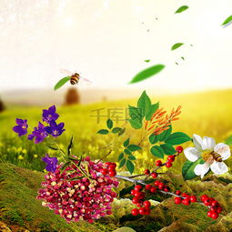 草地植物花卉食品促銷(xiāo)主圖設(shè)計(jì) 千庫(kù)網(wǎng)免費(fèi)PSD素材推薦