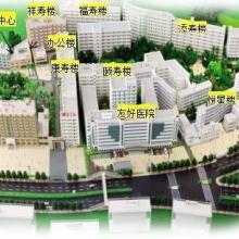 廣州善美養(yǎng)老咨詢服務(wù)公司 以專業(yè)教育咨詢服務(wù)引領(lǐng)養(yǎng)老產(chǎn)業(yè)創(chuàng)新與發(fā)展